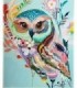 Hibou coloré Diamond Painting