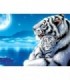 Tigre Blanc d'hiver Diamond Painting