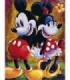 Mickey et Minnie en peinture Diamond Painting