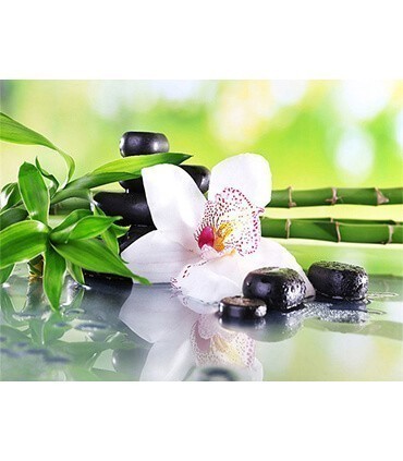 Orchidée Zen Diamond Painting