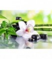 Orchidée Zen Diamond Painting