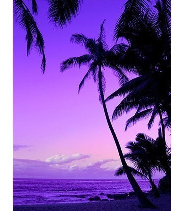 Plage sous une nuit violette Diamond Painting