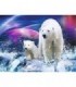 Ours et ourson polaireDiamond Painting
