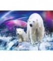 Ours et ourson polaireDiamond Painting
