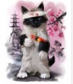 Karaté Chat Diamond Painting