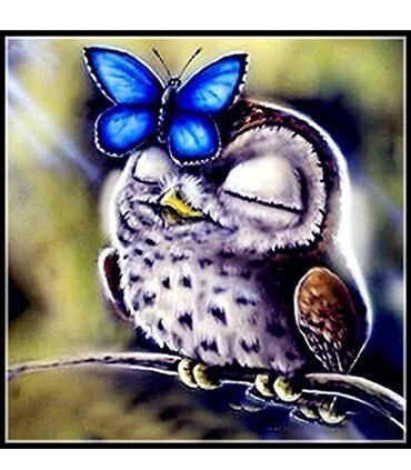 Chouette et son ami le Papillon Diamond Painting