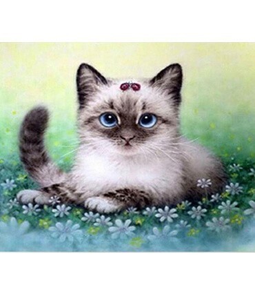 Chaton Siamois Diamond Painting