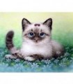 Chaton Siamois Diamond Painting