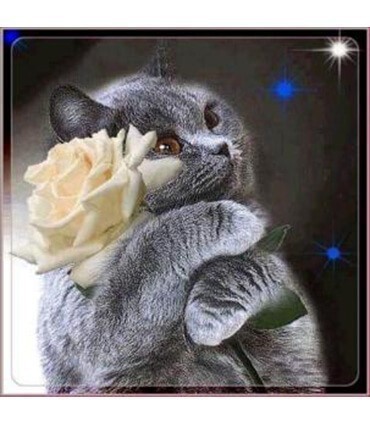Chartreux et sa rose blanche Diamond Painting