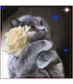 Chartreux et sa rose blanche Diamond Painting