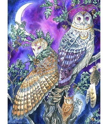 Hibou coloré Diamond Painting