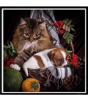 Chat et chien d'automne