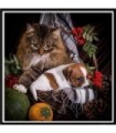 Chat et chien d'automne