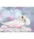 Cygnes enlacés Diamond Painting