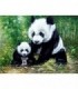 Maman panda et son bébé Diamond Painting