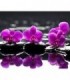 Orchidées violettes sur l'eau Diamond Painting