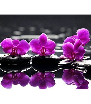 Orchidées violettes sur l'eau Diamond Painting