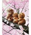 3 Chatons sur un arbre japonais Diamond Painting