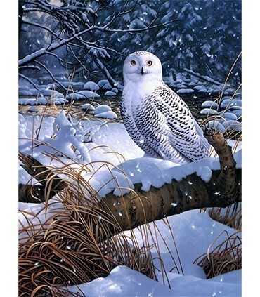 hibou Blanc Diamond Painting