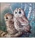 Couple d'hibou Diamond Painting