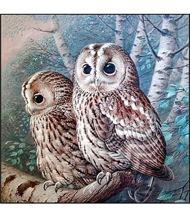 Couple d'hibou Diamond Painting