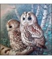 Couple d'hibou Diamond Painting