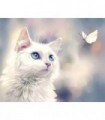 Chat Blanc et Papillon Blanc Diamond Painting