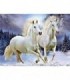 Course chevaux blanc Diamond Painting