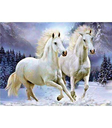 Course chevaux blanc Diamond Painting