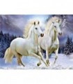 Course chevaux blanc Diamond Painting