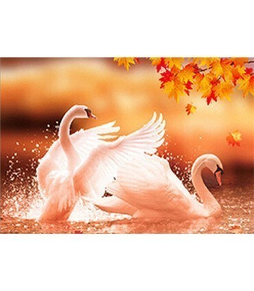 Baignade de Cygne Diamond Painting