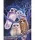 Famille de Hibou Diamond Painting