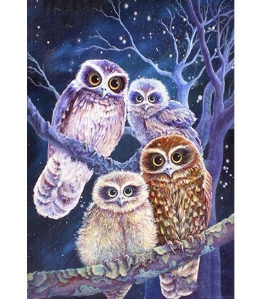 Famille de Hibou Diamond Painting