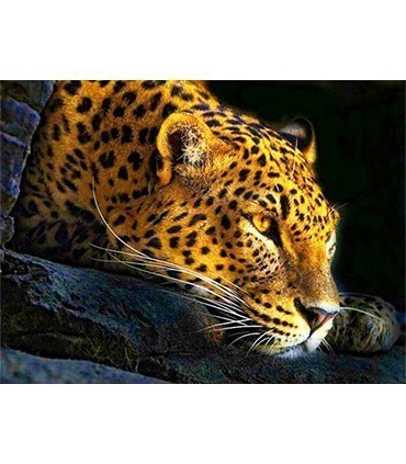 Guépard près à attaquer Diamond Painting