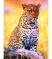 Guépard en Portrait Diamond Painting