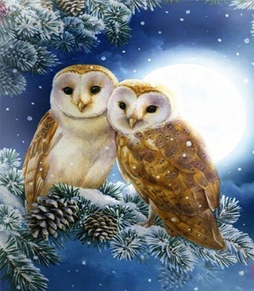 Coupe de hibou d'hiver Diamond Painting