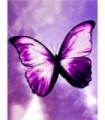 Papillon Violet Diamond Painting