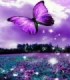 Papillon violet dans le pré Diamond Painting