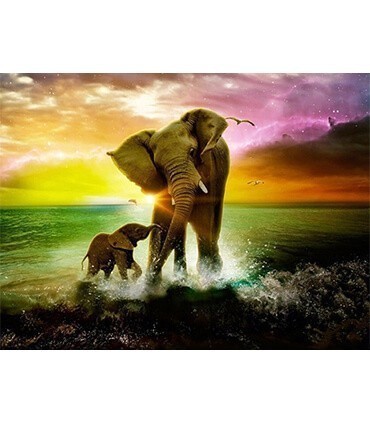 Elephant et son bébé à la plage Diamond Painting