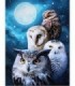 Chouettes en portrait Diamond Painting