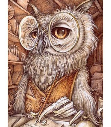 Vieil Hibou Diamond Painting