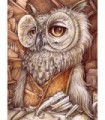 Vieil Hibou Diamond Painting