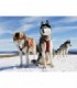 Photographie de chiens de traineaux Diamond Painting