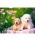 Adorables chiots Diamond Painting