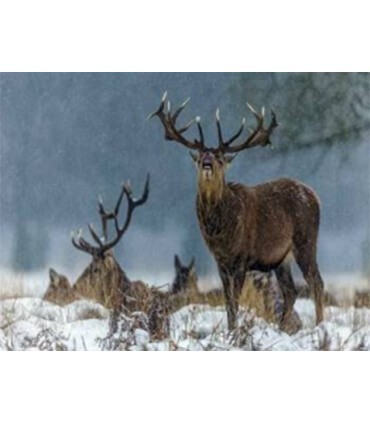 Cerfs sous la neige Diamond Painting
