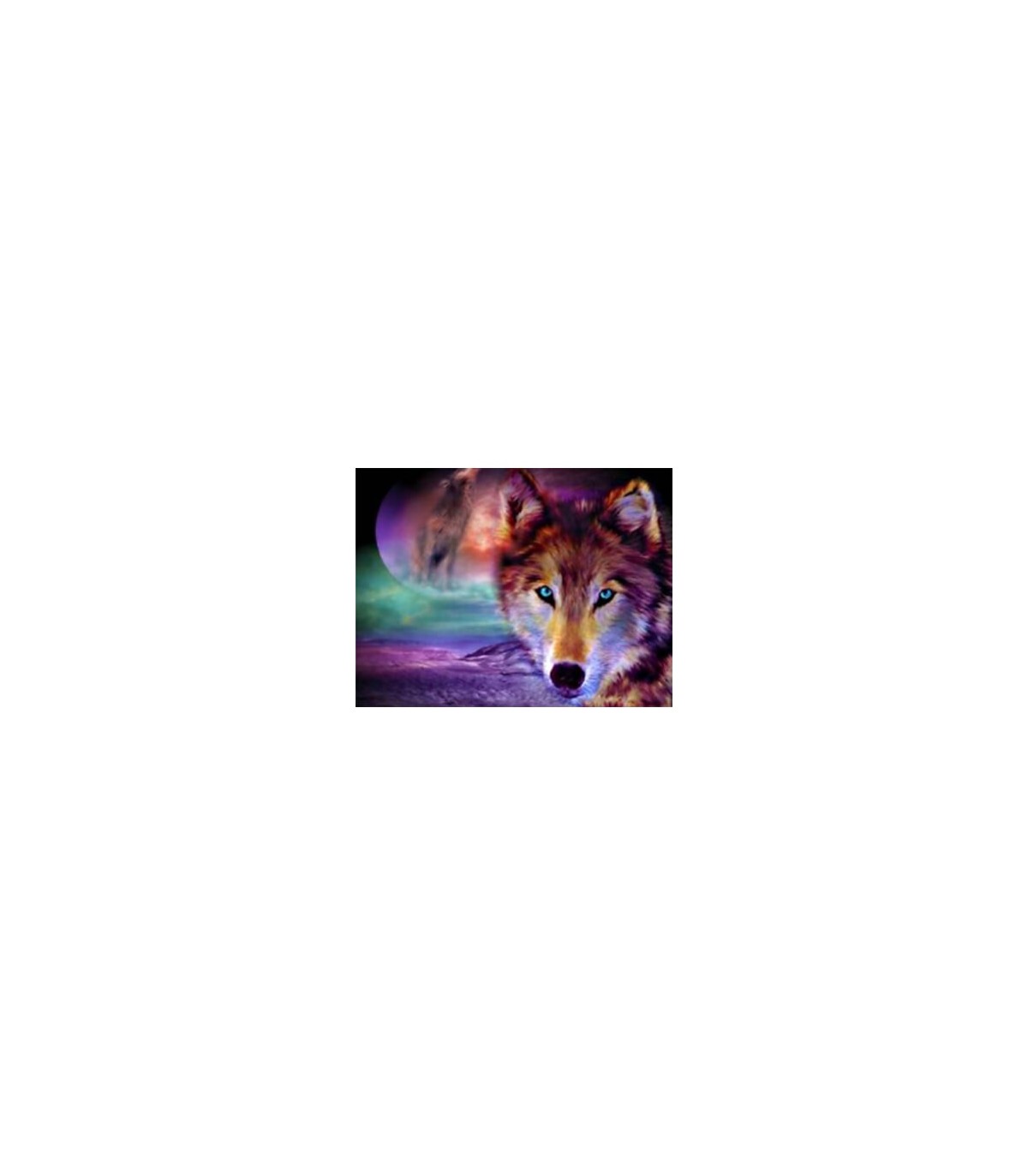 Tableau Loup univers Diamond Painting Love Diamond Painting