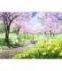 Dessin merveilleux jardin chinois Diamond Painting