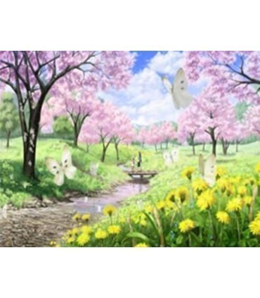 Dessin merveilleux jardin chinois Diamond Painting