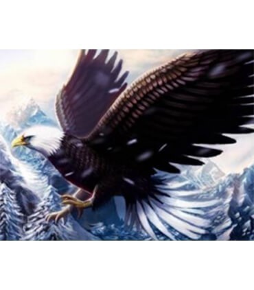 Aigle royal en hiver Diamond Painting