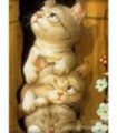 Dessin mignons chatons Diamond Painting